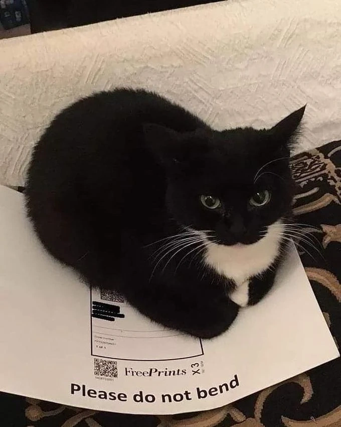 Maxwell on paper again